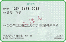 券面イメージの画像(1)