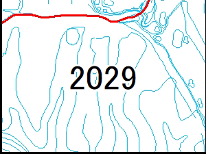 2029