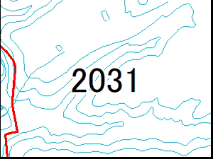 2031