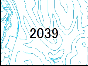 2039