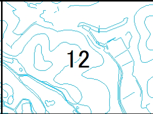 12