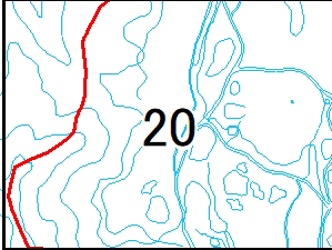 20