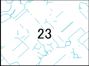 23