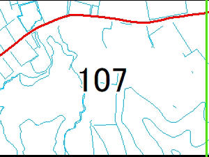 107