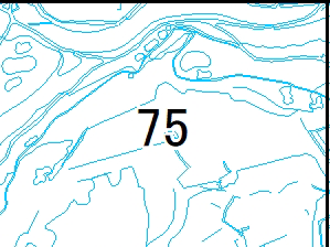 75