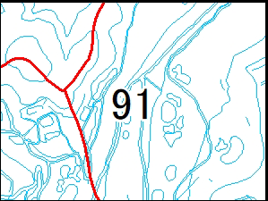 91