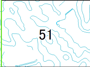 51