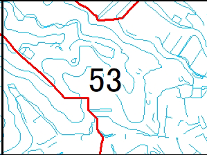 53