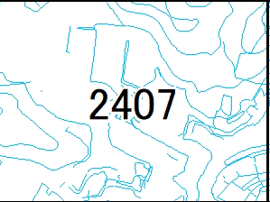 2407
