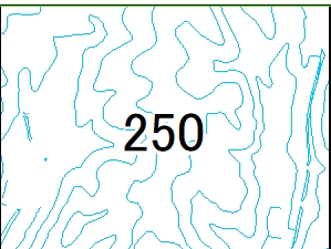250