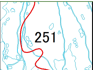 251