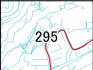 295