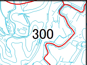 300