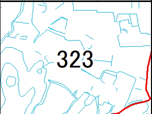 323