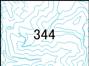 344