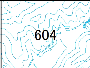 604