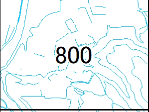 800