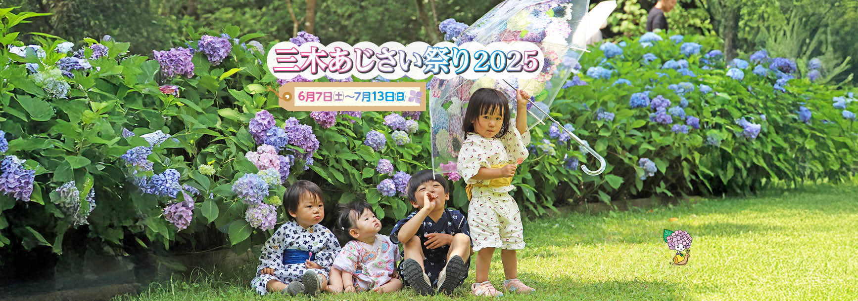 スライド画像