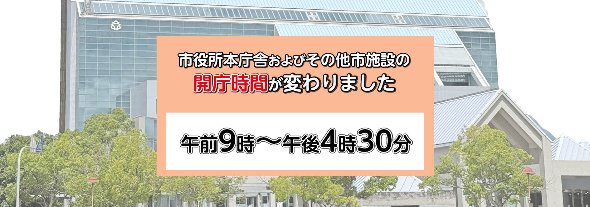 スライド画像