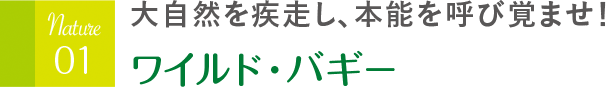 大自然を疾走し、本能を呼び覚ませ！ ワイルド・バギー