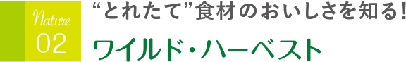 “とれたて”食材のおいしさを知る！ ワイルド・ハーベスト