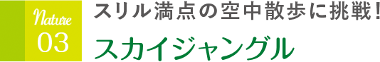 スリル満点の空中散歩に挑戦！ スカイジャングル