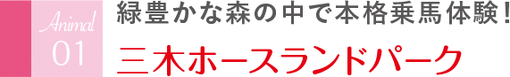 緑豊かな森の中で本格乗馬体験！ 三木ホースランドパーク