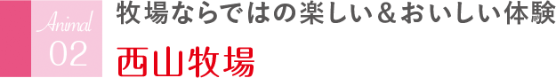 牧場ならではの楽しい＆おいしい体験 西山牧場