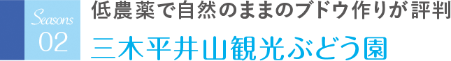 低農薬で自然のままのブドウ作りが評判 三木平井山観光ぶどう園