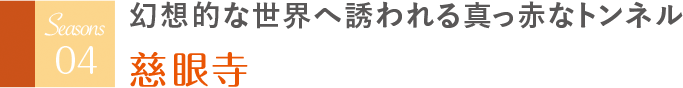 幻想的な世界へ誘われる真っ赤なトンネル 慈眼寺