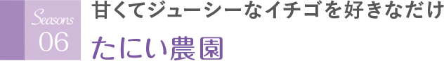 甘くてジューシーなイチゴを好きなだけ たにい農園