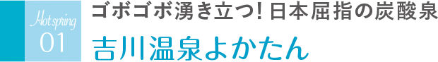 ゴボゴボ湧き立つ！日本屈指の炭酸泉 吉川温泉よかたん