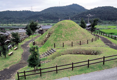 施設の名称・区分の画像11