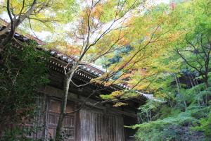 蓮花寺