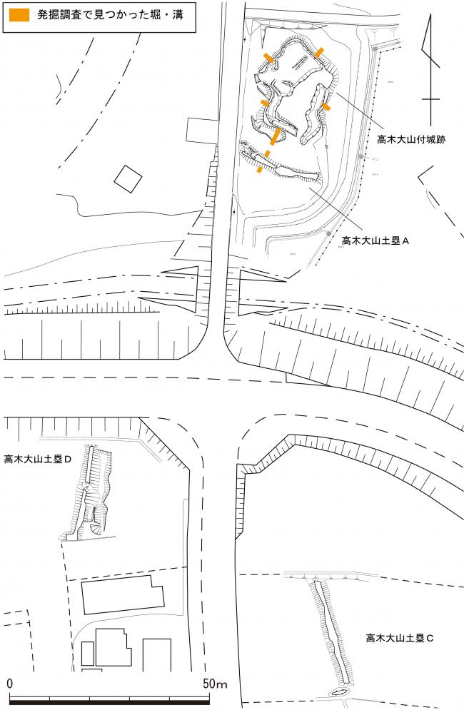 高木大山付城跡　測量図