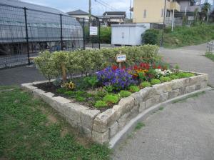 自由が丘中公園花壇