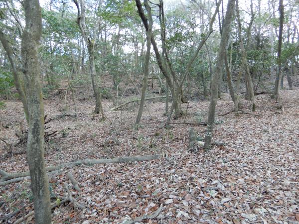 段状の平坦地群