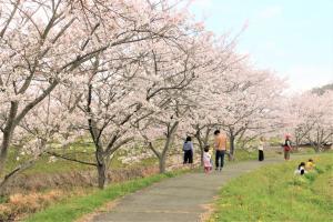 北谷川沿いの桜並木