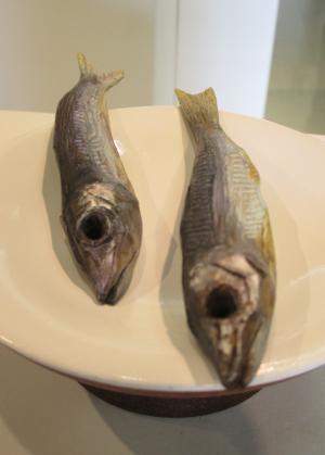 どこから見ても本物のようにリアルな丸干しです