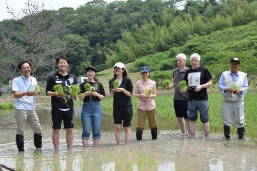 田植え体験の様子