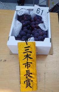 品評会の様子3