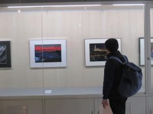 岡野靖彦さん展示風景1