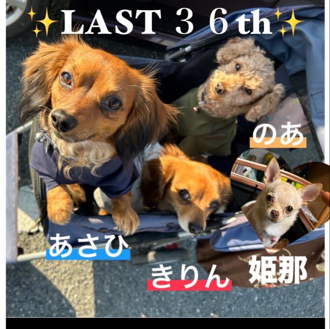 カウントダウン写真