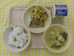 １７日しいら