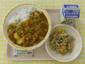 ポークカレーの日