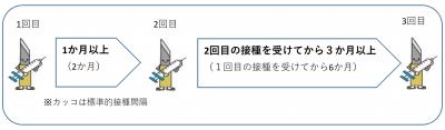 HPV9価3回（間隔