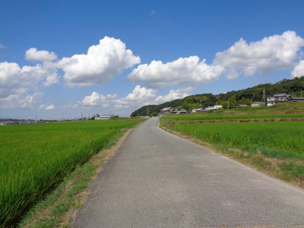通学路