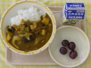 13日夏野菜カレー