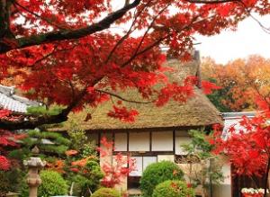 慈眼寺