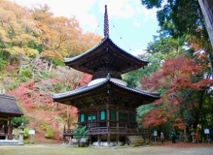 伽耶院